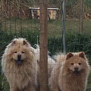 Meet your Posher, Wanda